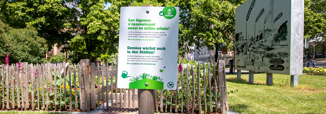 Potager Plave Fohrmann