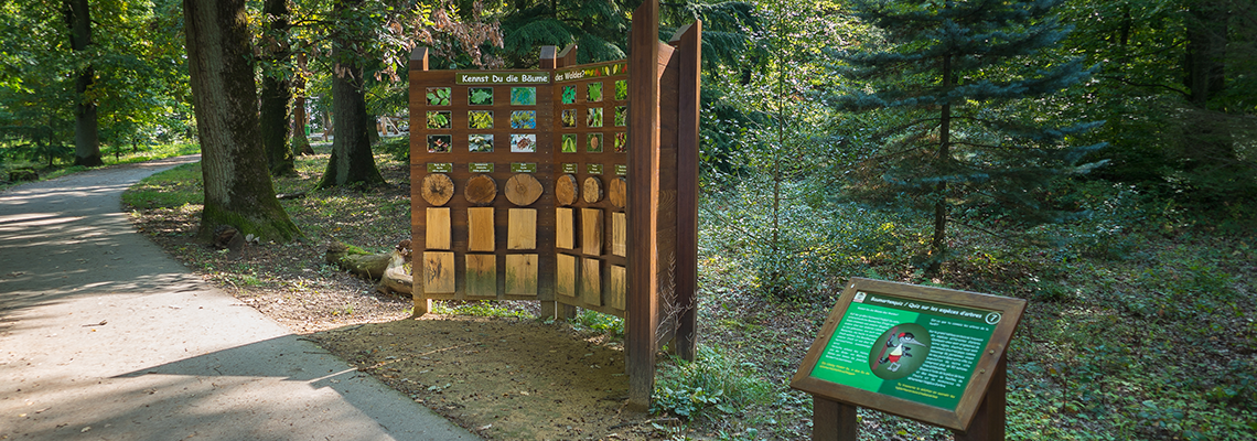 nature-parcours-ludique-3 Parcours ludique Parc Le'h