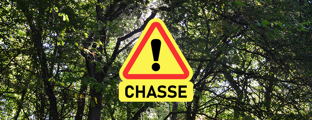 chasse
