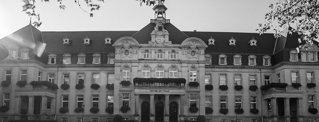hdv-bw